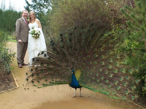 Clare and Mark